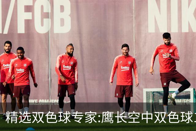 精选双色球专家:鹰长空中双色球146万累擒1788万!